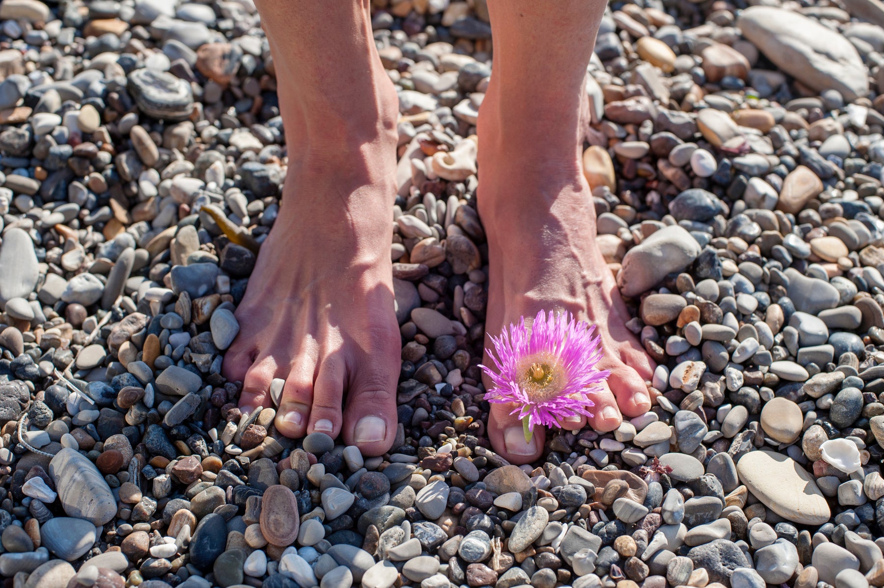 What is Earthing and How does it Improve Your Health?